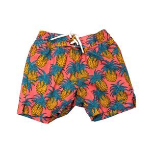 Sovereign Code Swim Trunks Suit Board Shorts Pink Pineapple Boys Size 2T